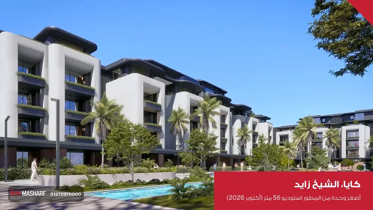 حمام سباحة طويل بين عمارات سكنية بيضا ونخل على الجانبين