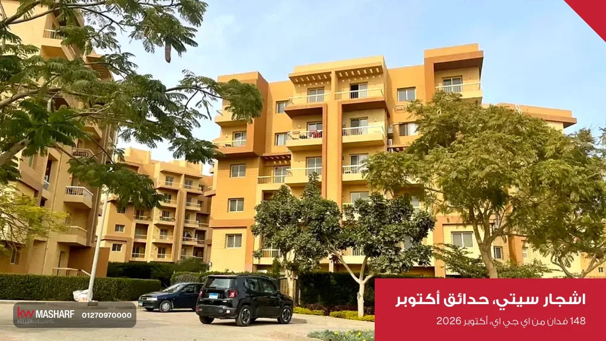 عمارات سكنية وشجر وعربيات راكنة في اشجار سيتي