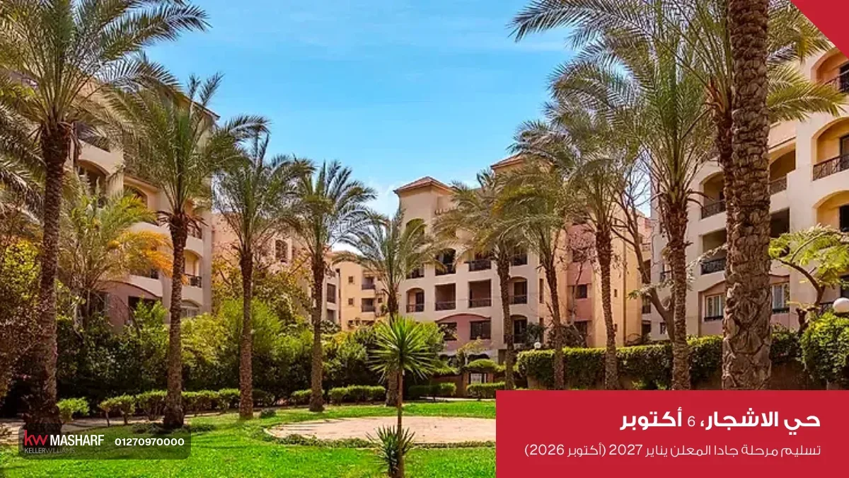 عمارات سكنية بلون بيج بين صفوف نخل عالي وجنينة