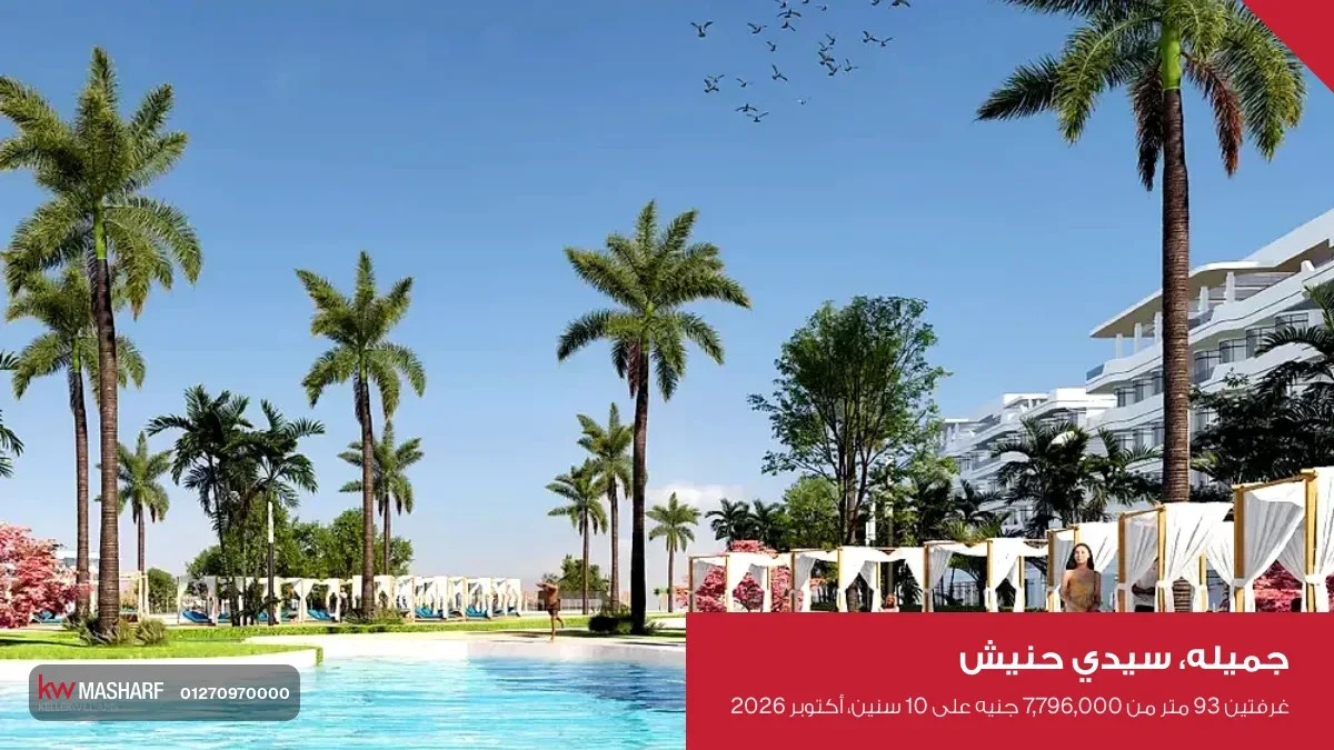 حمام سباحة بين النخل والوحدات في جميله بسيدي حنيش